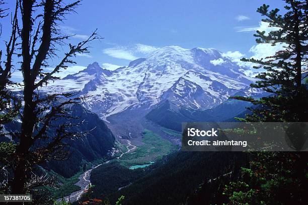 Emmons Vista Stockfoto und mehr Bilder von Abenteuer - Abenteuer, Baum, Berg