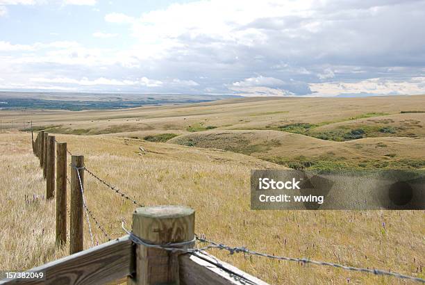 Escena De Verano De Prairie Foto de stock y más banco de imágenes de Alberta - Alberta, Pradera, Montañas Rocosas