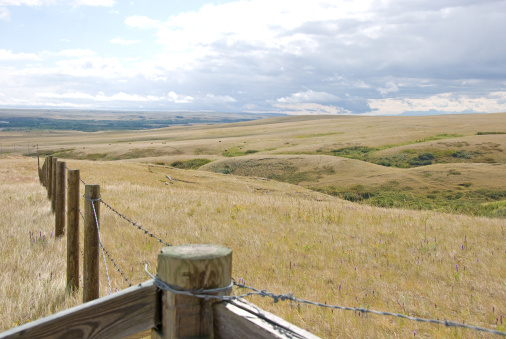 A fence line with open prairie in the back ground. The rocky Mountains can be seen in the distance.