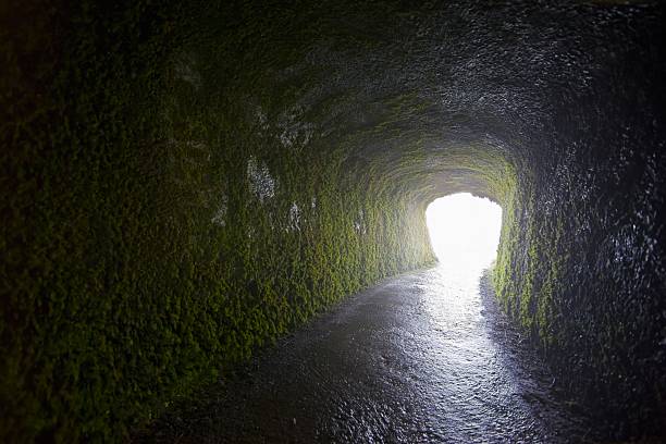 istock Light shining at the end of moss covered tunnel 157382188