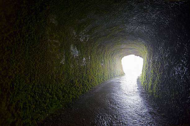 light shining в конце туннеля moss покрытием - way out sign стоковые фото и изображения
