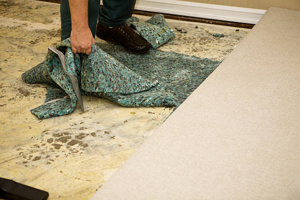 Water Soaked Carpet Pad  damaged stock pictures, royalty-free photos & images