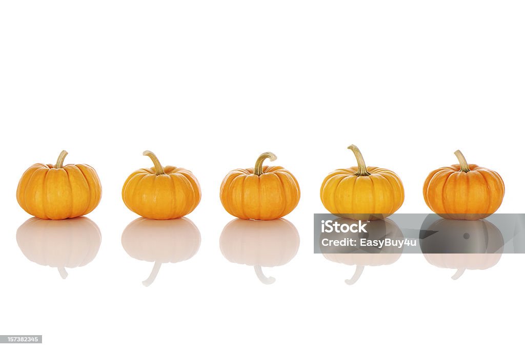 pumpkins  Miniature Pumpkin Stock Photo