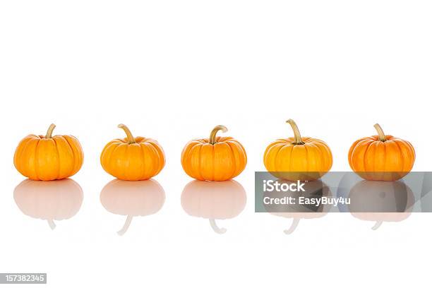 Pumpkins Stock Photo - Download Image Now - Miniature Pumpkin, Autumn, Color Image