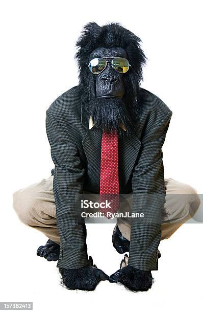 Kucać Gorilla Biznesmen Na Białym Tle - zdjęcia stockowe i więcej obrazów Kucać - Pozycja fizyczna - Kucać - Pozycja fizyczna, Pracownik sklepu, Białe tło
