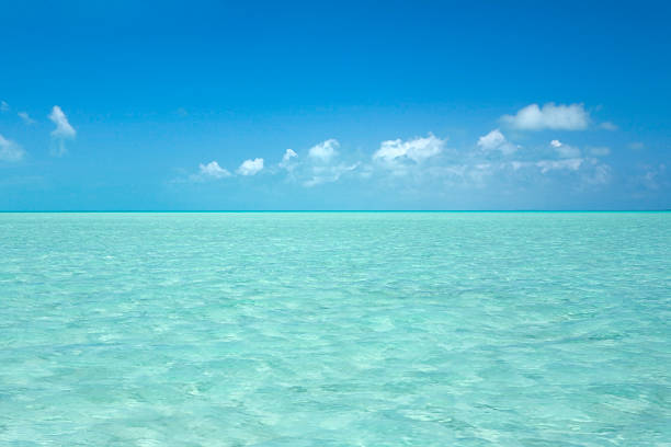 Shallow water in the Bahamas extends to the horizon.