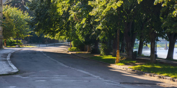 istock river waterfront at sunrise in shade of trees 1573827702