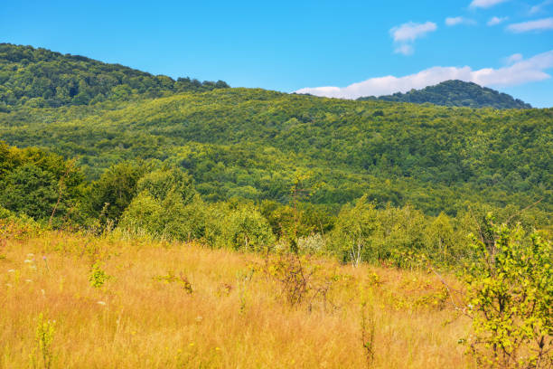 istock countryside scenery with forested mountains 1573828223