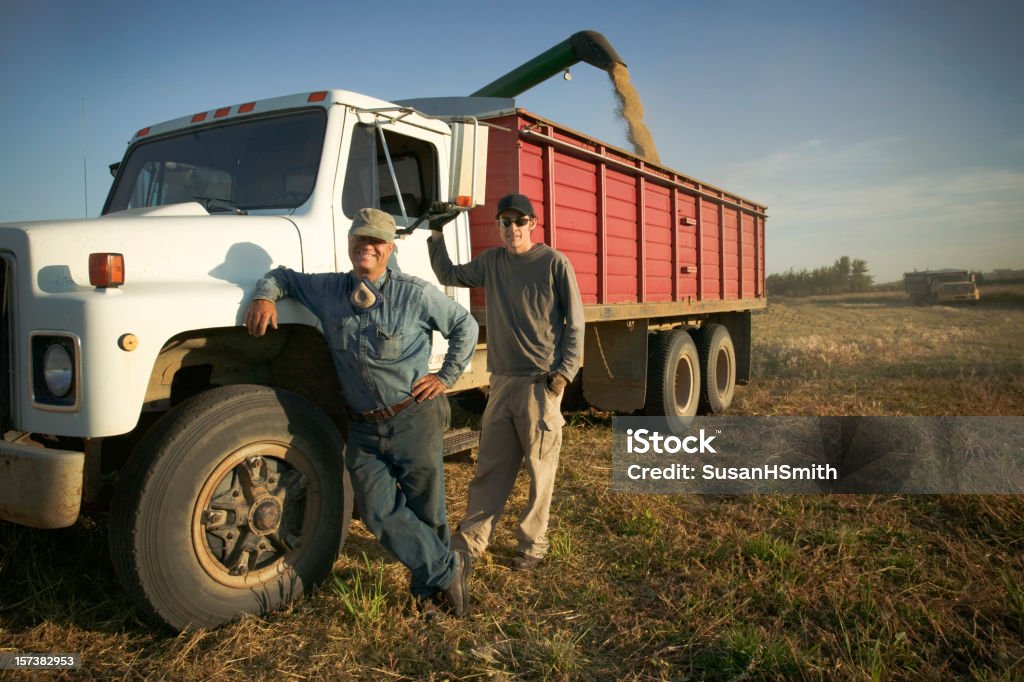 Harvest hauling  Farm Stock Photo