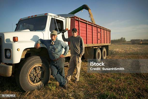 Harvest Hauling Stock Photo - Download Image Now - Farm, Father, Agricultural Field