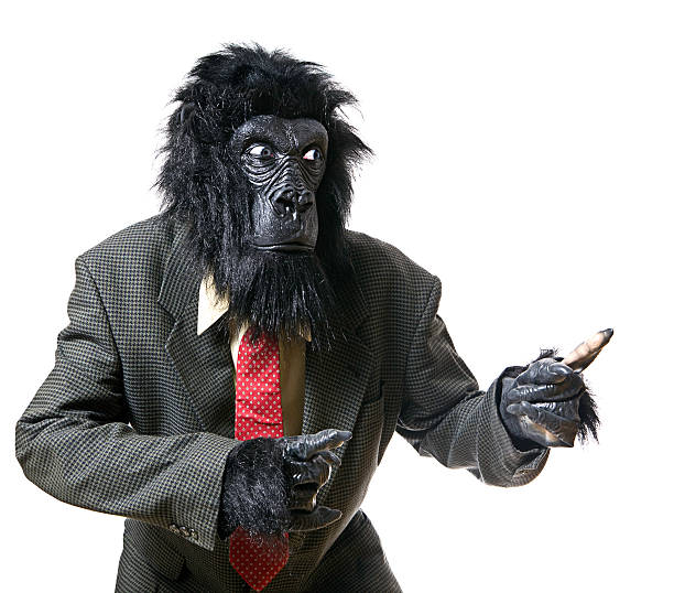 su carne fuga Retrato De Hombre Serio Enfadado Gorilla Foto de stock y más banco de  imágenes de Disfraz de mono - Disfraz de mono, Ejecutivo de ventas, Mono -  Primate - iStock