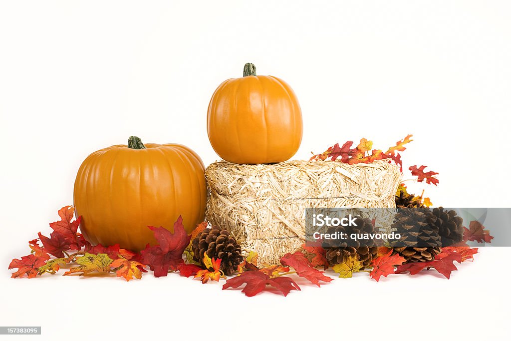 Bala de heno, Pumpkins, hojas y conos de pino en blanco - Foto de stock de Bala - Cultivado libre de derechos