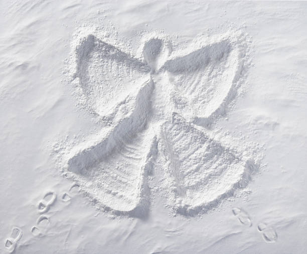 Snow Angel Snow Angel