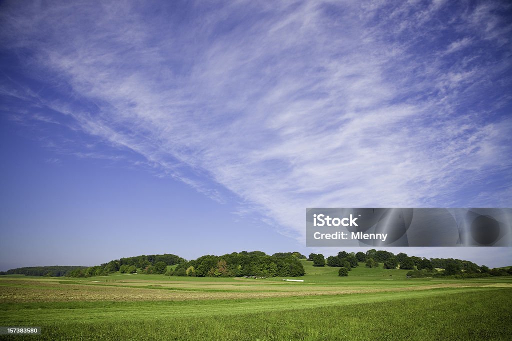 Fine estate paesaggio - Foto stock royalty-free di Agricoltura