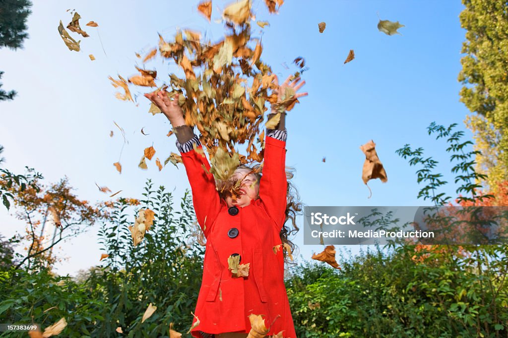 L'automne - Photo de Feuille libre de droits