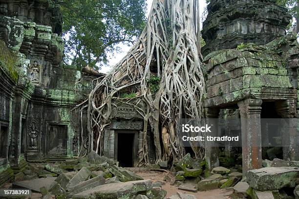 Antiche Rovine Di Ta Prohm Nella Giungla Cambogia - Fotografie stock e altre immagini di Angkor Wat - Angkor Wat, Antica civiltà, Foresta pluviale