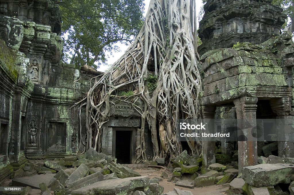 Древних руин Та Прум в джунглях, Камбоджа - Стоковые фото Ангкор-Ват роялти-фри