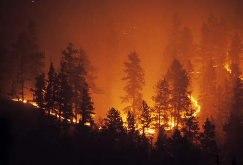 Anillo de fuego Bailey wildfire forestal de las Montañas Rocosas de Colorado photo