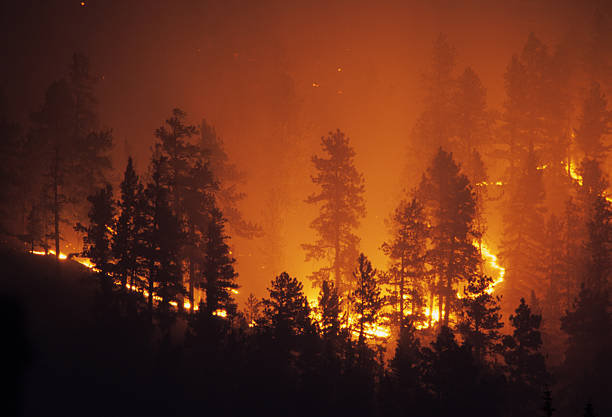 Ring of fire Bailey Colorado Rocky Mountain forest wildfire A forest glows as the fire burns out of control on a mountain hillside in the Pike National Forest behind the Platte Canyon High School as it works it way through the pine trees above highway 285 near the small town of Bailey, Colorado. forest fire photos stock pictures, royalty-free photos & images