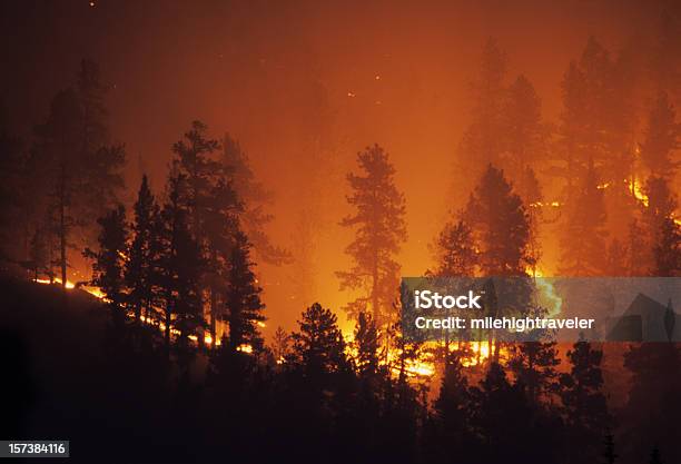 Ring Of Fire Bailey Colorado Rocky Mountain Forest Wildfire Stock Photo - Download Image Now