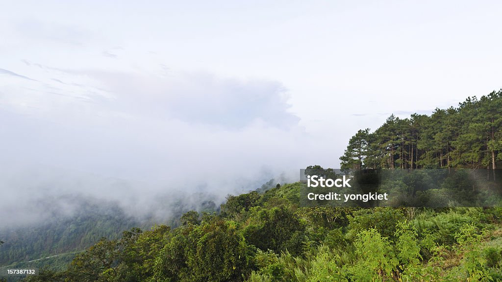 Doi Ang Khang, Chiang Mai, Tailândia - Royalty-free Ao Ar Livre Foto de stock