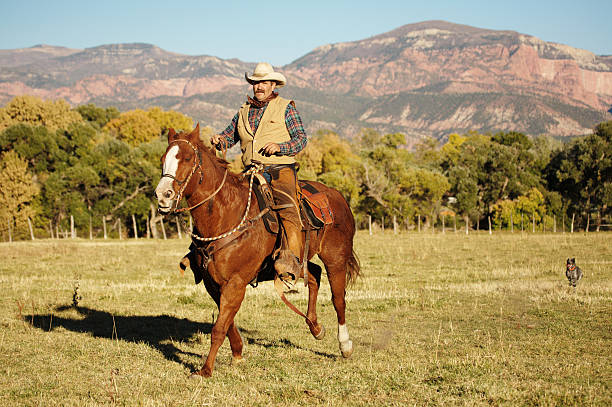 Cowboy Riding stock photo