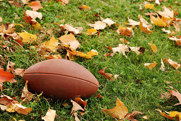 istock Football on autumn lawn 157393130
