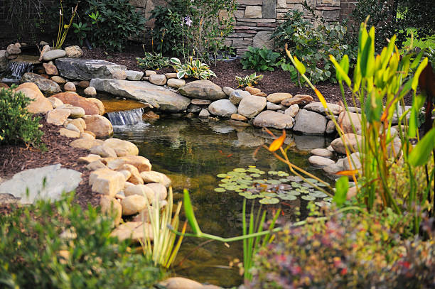 Landscaped Koi Pond  pond stock pictures, royalty-free photos & images