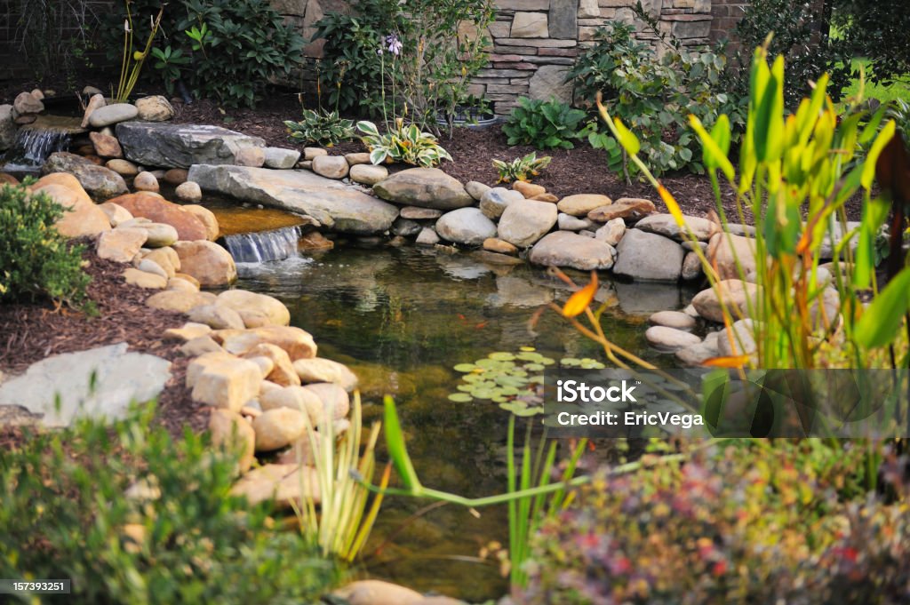 Ajardinado Koi Pond - Royalty-free Pequeno Lago Foto de stock