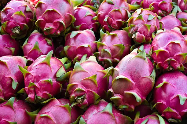 Dragon fruit for sale in a market place