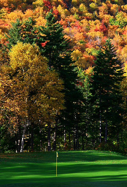 istock Beautiful Fall Golf Scenic of Course in Appalachians 157393326