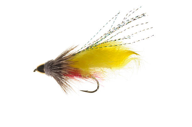 Fly Fishing Lure  fishing bait stock pictures, royalty-free photos & images