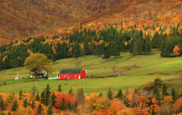 istock Quaint Farm in New England in Fall 157393555