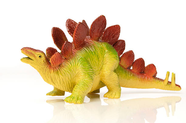stegosauro giocattolo di dinosauro; colorato sfondo bianco, specie inattivo - stegosauro foto e immagini stock