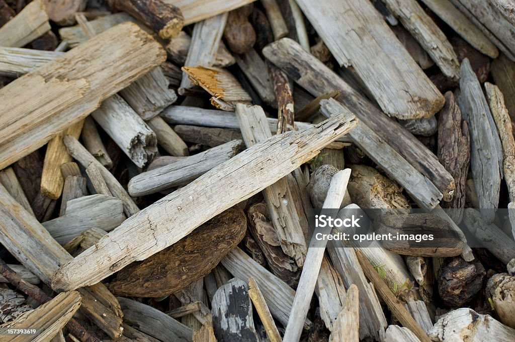 Driftwood en la playa - Foto de stock de Belleza de la naturaleza libre de derechos
