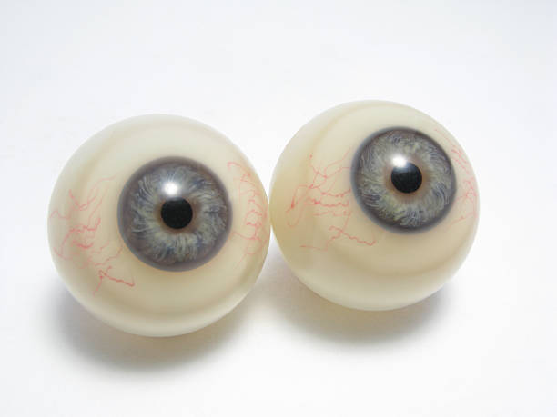A pair of plastic eyeballs sitting on a white background These realistic looking glass eyeballs were made for a famous London waxworks museum. eyeball stock pictures, royalty-free photos & images