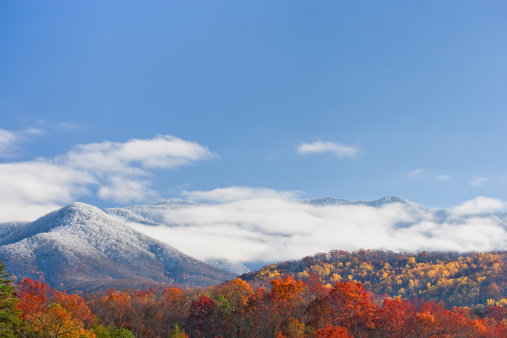 Early snowfall blankets the upper elevations in the Smoky Mountains.