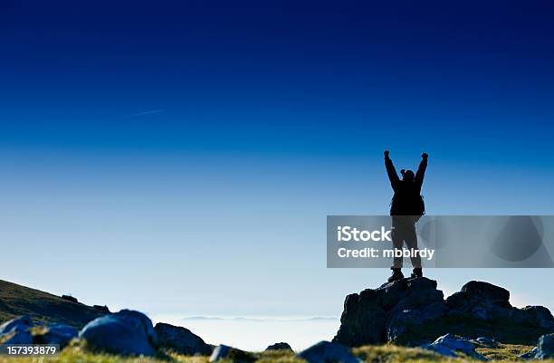 Счастливый Альпинист Стоя На Верхнем — стоковые фотографии и другие картинки Активный образ жизни - Активный образ жизни, Альпинизм, Верхний ракурс