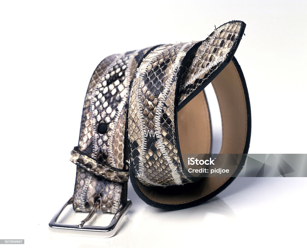 Serpent ceinture en cuir - Photo de Ceinture - Accessoire libre de droits