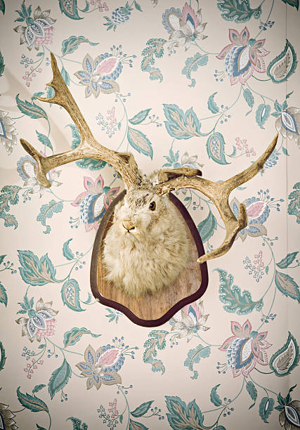 Jackalope Head Taxidermy A stuffed Jackalope (rabbit with antlers) mounted on a wooden trophy with some retro vintage floral wallpaper.  Vertical with copy space. hunting trophy stock pictures, royalty-free photos & images