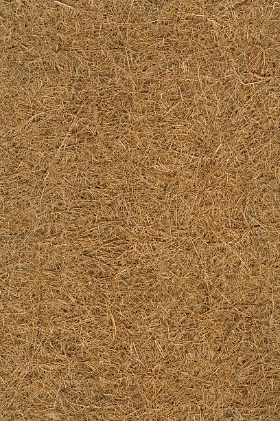 istock Coconut fiber XXLarge 157394324