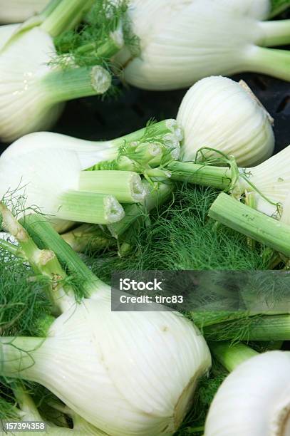 Funcho Lâmpadas Fechar Em - Fotografias de stock e mais imagens de Anis - Anis, Comida, Cor verde