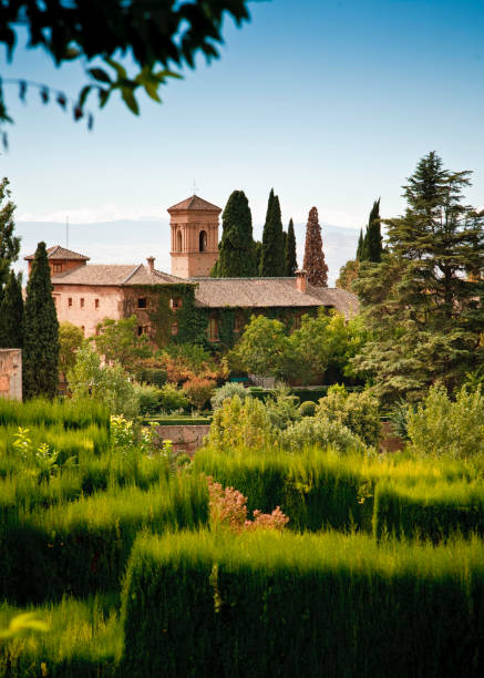 the alhambra the gardens of alhambra, granada - spain granada spain stock pictures, royalty-free photos & images