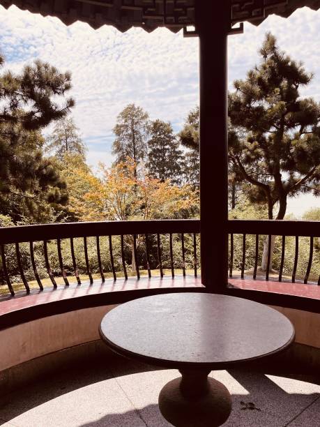 istock Garden view - stock photo 1573945487