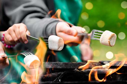 Around the campfire. Delicious and sweet jelly marshmallows on fork over the bonfire. Toasting Marshmallow