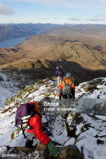 Vista Dal Monte Ben Lomond - Fotografie stock e altre immagini di Scozia - Scozia, Autunno, Foresta