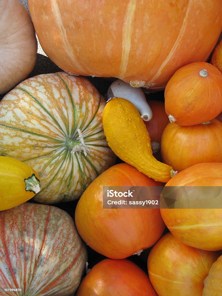 Gourds abóbora cacho grupo de legumes - Foto de stock de Abóbora royalty-free