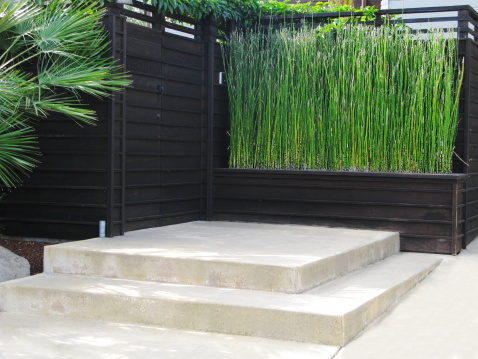 View of a Japanese style patio. Bamboo is an amazing plant that can grow almost 4 feet a day. It can also provide many aesthetic and functional purposes to help you create the perfect landscape.  From tropical beauty to privacy screens, bamboo is a versatile plant that can be added to any environment.