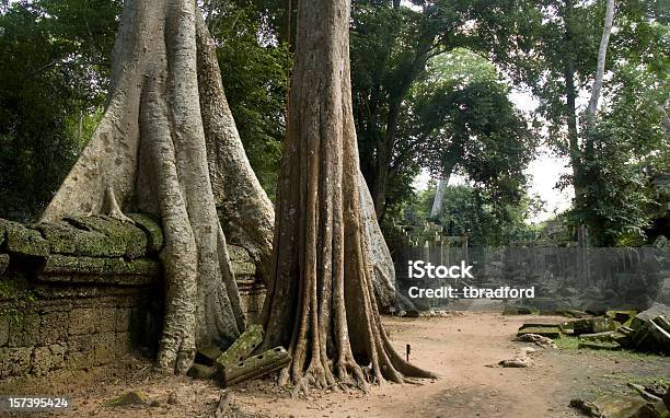 Foto de As Ruínas Do Templo Perto De Angkor Wat Do Camboja e mais fotos de stock de Angkor