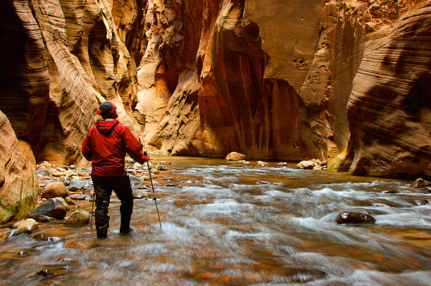 Man Hiking the narrows A man hiking into the narrows in Zion National Park, Utah USA. zion river stock pictures, royalty-free photos & images